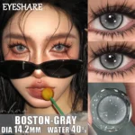 Eyeshare Boston Gray Colored Contact Lens