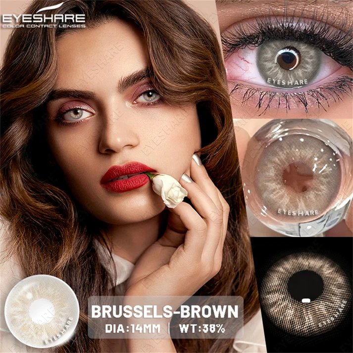 brussels-brown-contact-lens.jpg (1) Eyeshare Brussels Brown Contact Lens - Image 1