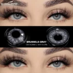 Eyeshare Brussels Gray Contact Lens - Image 2