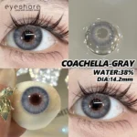 Eyeshare Coachella Gray Contact Lens - Image 2