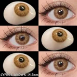 Eyeshare Cyprus Brown Contact Lens - Image 4