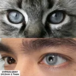 Eyeshare Cyprus Gray Contact Lens - Image 2