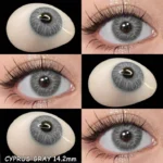 Eyeshare Cyprus Gray Contact Lens - Image 3