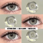 Eyeshare Estonia Gray Contact Lens - Image 2