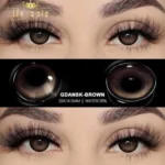 Eyeshare Gdansk Brown Contact Lens - Image 2