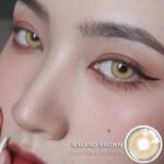 Eyeshare Iceland Brown Contact Lens