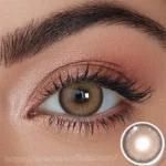 Eyeshare Loire Brown Contact Lens