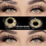 Eyeshare Nicosia Brown Color Contact Lens - Image 2