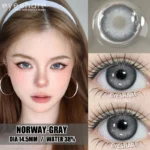 Eyeshare Norway Gray Color Contact Lens - Image 4