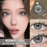 Eyeshare Norway Gray Color Contact Lens - Image 3