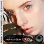 Eyeshare Norway Gray Color Contact Lens - Image 2
