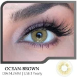 Eyeshare Ocean Brown Color Contact Lens - Image 2