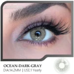 Eyeshare Ocean Dark Gray Color Contact Lens - Image 3