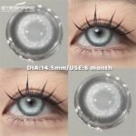 Eyeshare Rhine Gray Contact Lenses - Image 3