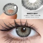 Eyeshare Serbia Gray Color Contact Lenses - Image 3