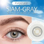 Eyeshare Siam Gray Color Contact Lenses - Image 4