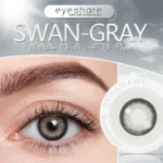 Eyeshare Swan Gray Color Contact Lenses - Image 4