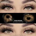 Eyeshare Turin Brown Contact Lens - Image 2