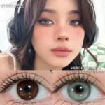 Eyeshare Venice Green Contact Lens