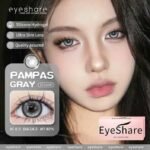 Eyeshare Pampus Gray Contact Lens
