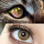 Ksseye Cyprus Brown Colored Contact Lenses - Image 3