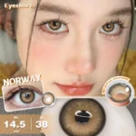 Ksseye Norway Brown Contact Lens