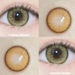 Ksseye Vanassa Brown Contact Lens - Image 4