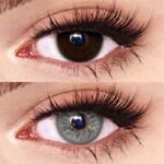 Freshlady Angelic Glow Wing Gray Contact Lens