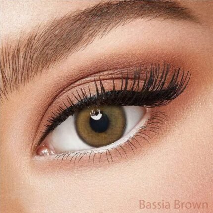 Freshlady Bassia Brown Contact Lens