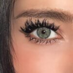 Freshlady Breeze Gray Contact Lens