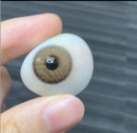 Freshlady Cortado Contact Lens - Image 2