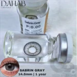 Dahab Sabrin Gray Contact Lens - Image 2