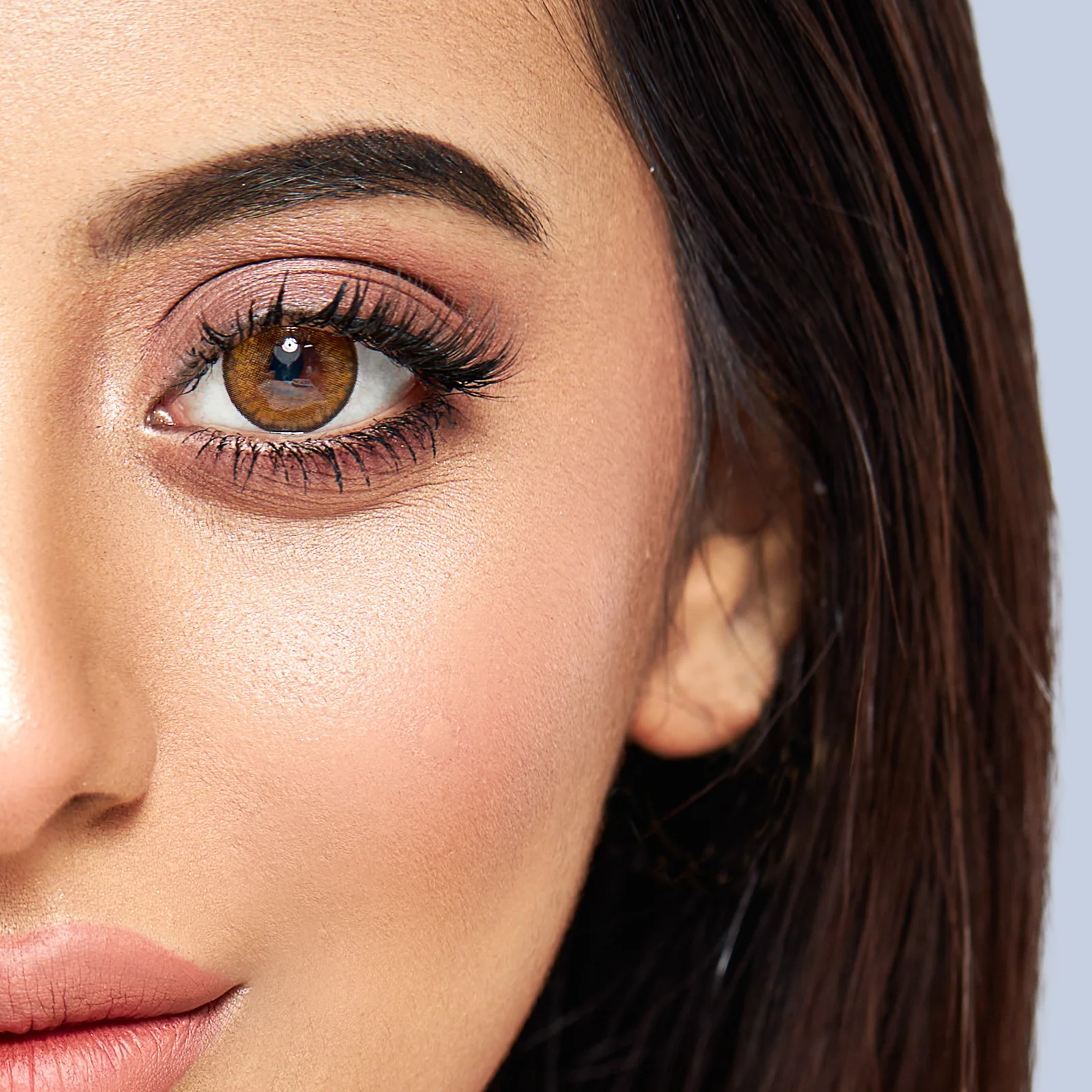 ego-forest-walnut-brown-contact-lens-price-in-Bangladesh (4) Ego Forest Walnut Brown Contact Lens - Image 1