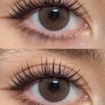 Freshlady Drama Contact Lens