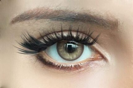 Freshlady Enigma Duality Hybrid Brown Contact Lens