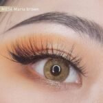 Freshlady Maria Brown Contact Lens