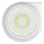 Freshlady Scandi Gray Contact Lens - Image 2