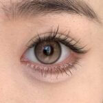 Freshlady Secret Brown Contact Lens - Image 2