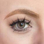 Freshlady Twilight Brown Contact Lens